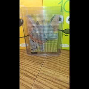 2023 Card Fun Disney 100 Daisy Lattice Double-Sided Card